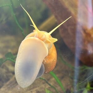 Meet your Posher, Camden